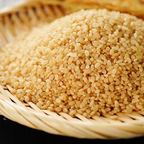 夢しずく 玄米」の人気商品一覧・価格比較 - 価格.com